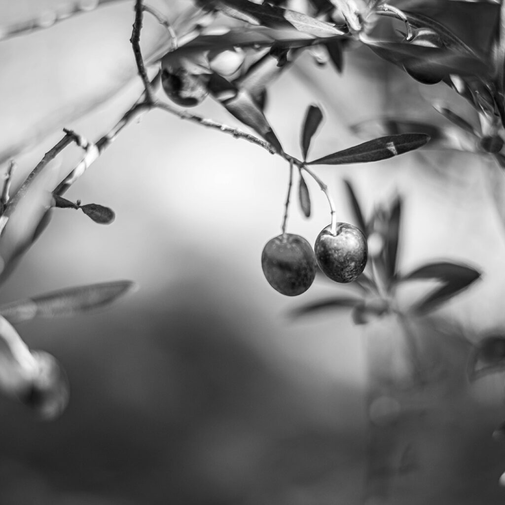 servizi fotografici Terni